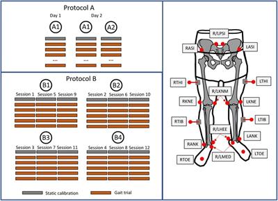 Can the evaluation of marker placement confidence be used as an indicator of gait kinematic variability?